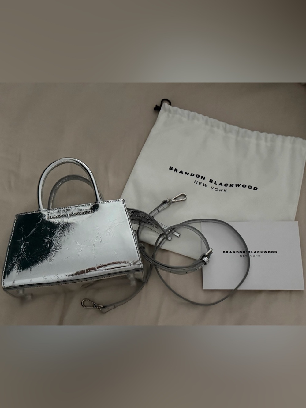 Brandon Blackwood Metallic Silver Mini Tote with Detachable Strap